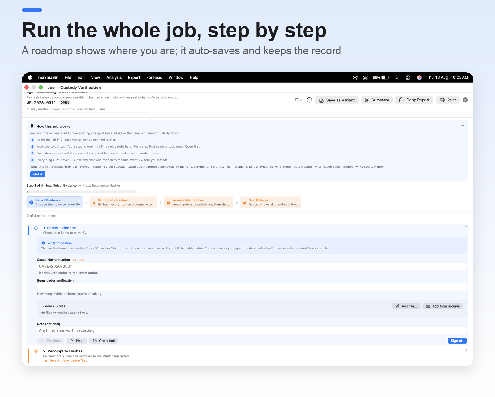 Run the whole job, step by step